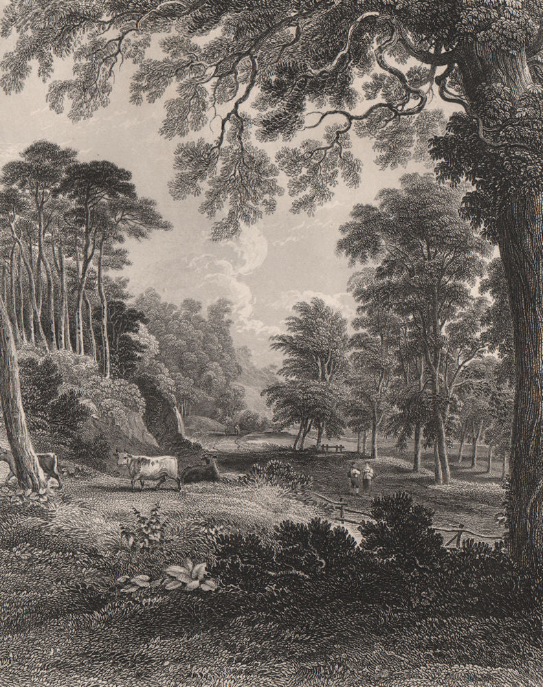 Dura Den, near Cupar, Fife. Scotland. STEWART 1868 old antique print picture